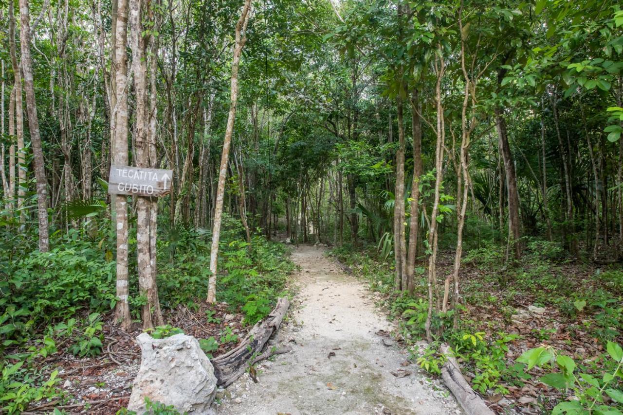 Hotel Casa Costal - Glamping Experience Puerto Morelos Exterior foto